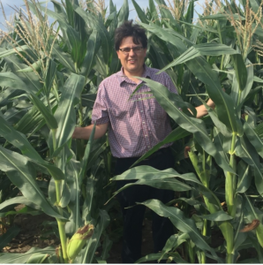 Pete Boulay in Corn Field; photo by Henry Reges